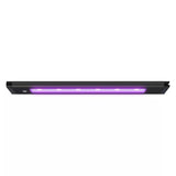 Blade Smart LED Strip - Coral Glow