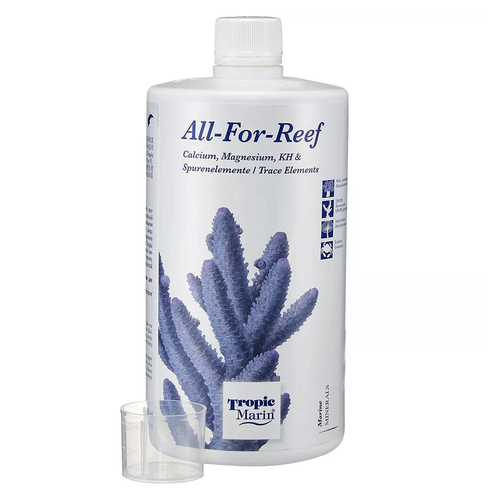All-For-Reef