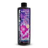 MicroBacter Purple M