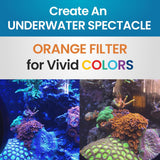 DeepSee Viewer Black 4" - Orange Filter