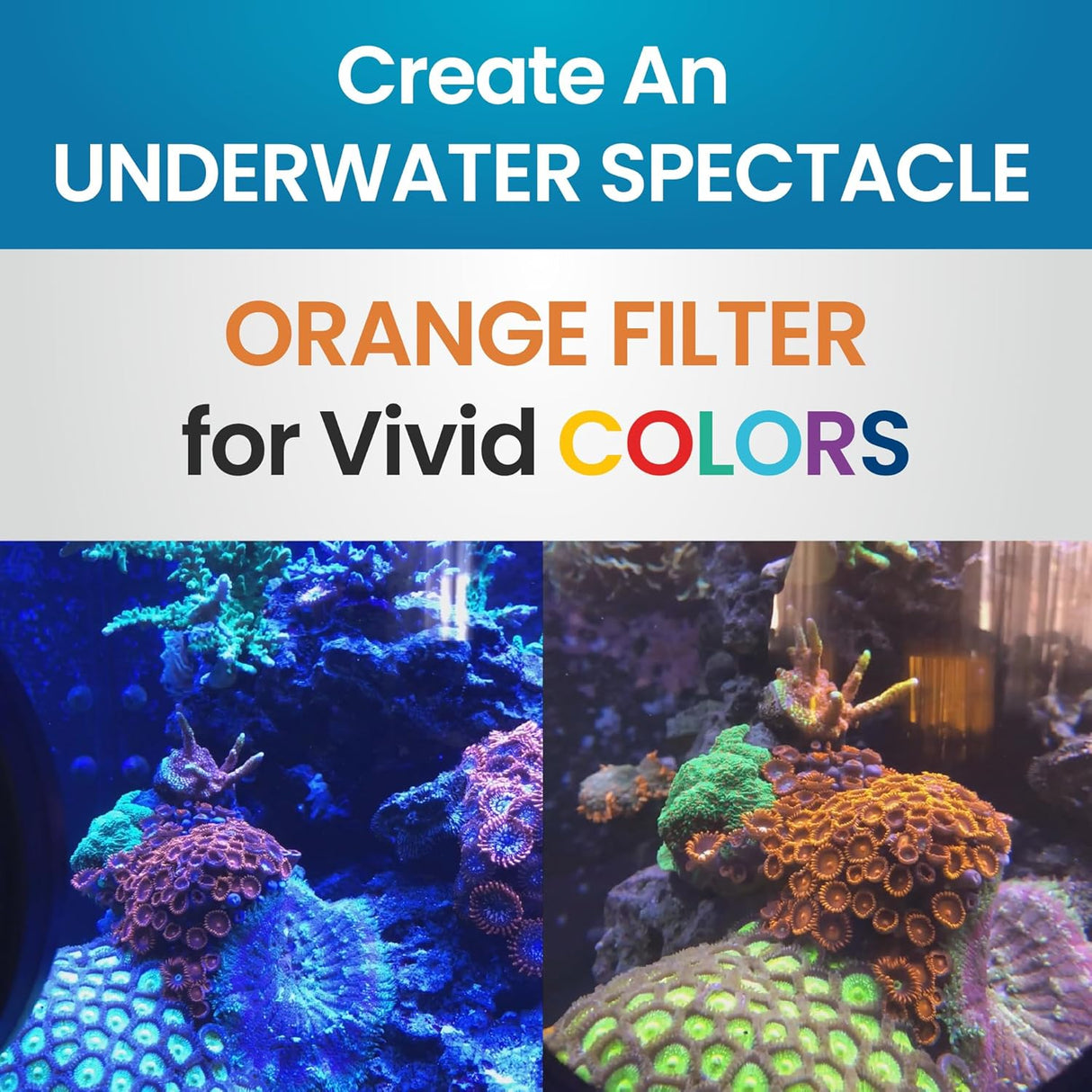 DeepSee Viewer Clear 4" - Orange Filter