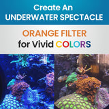 DeepSee Viewer Clear 4" - Orange Filter