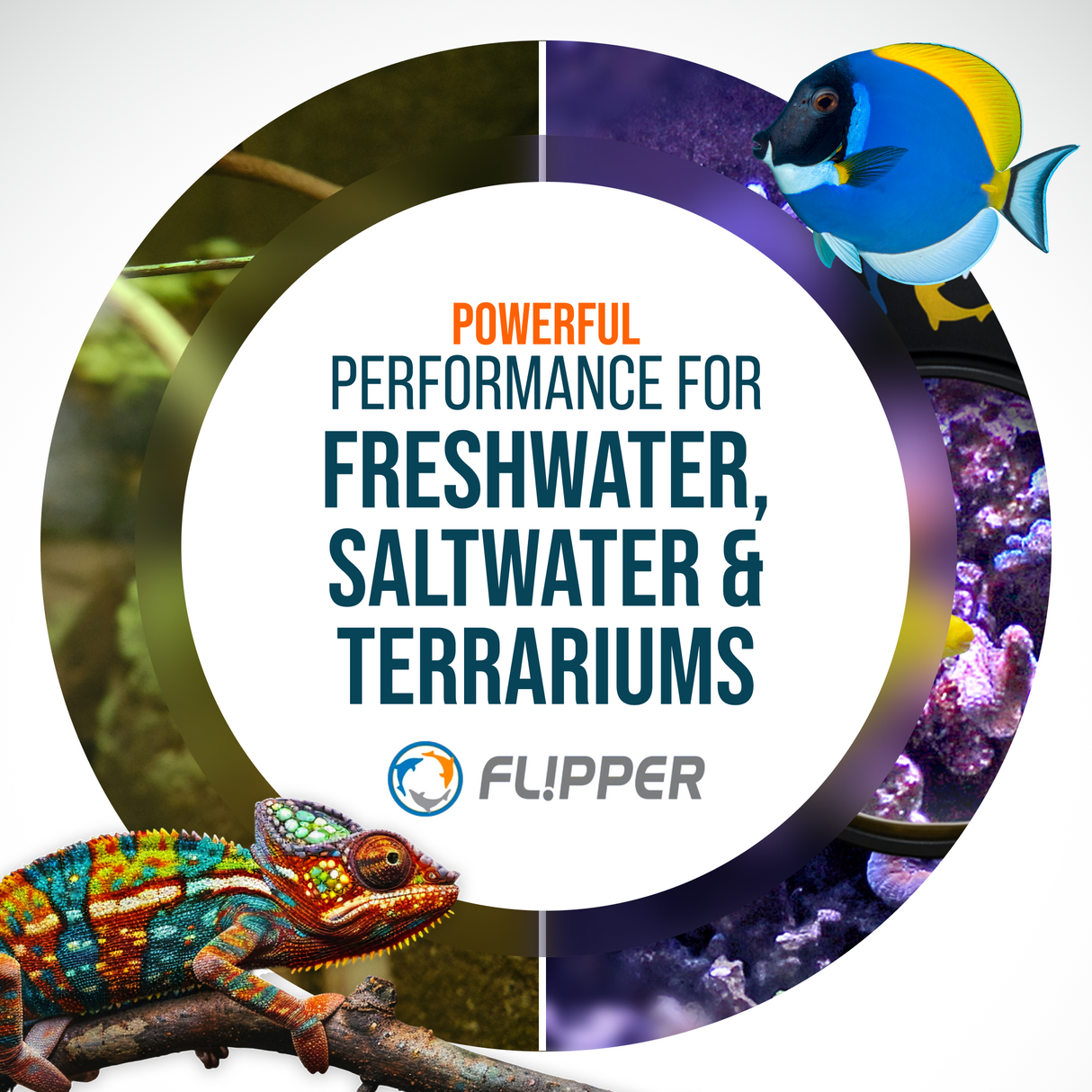 DeepSee Viewer Clear 4"