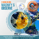 DeepSee Viewer Clear 4"