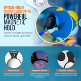 DeepSee Viewer Clear 4"