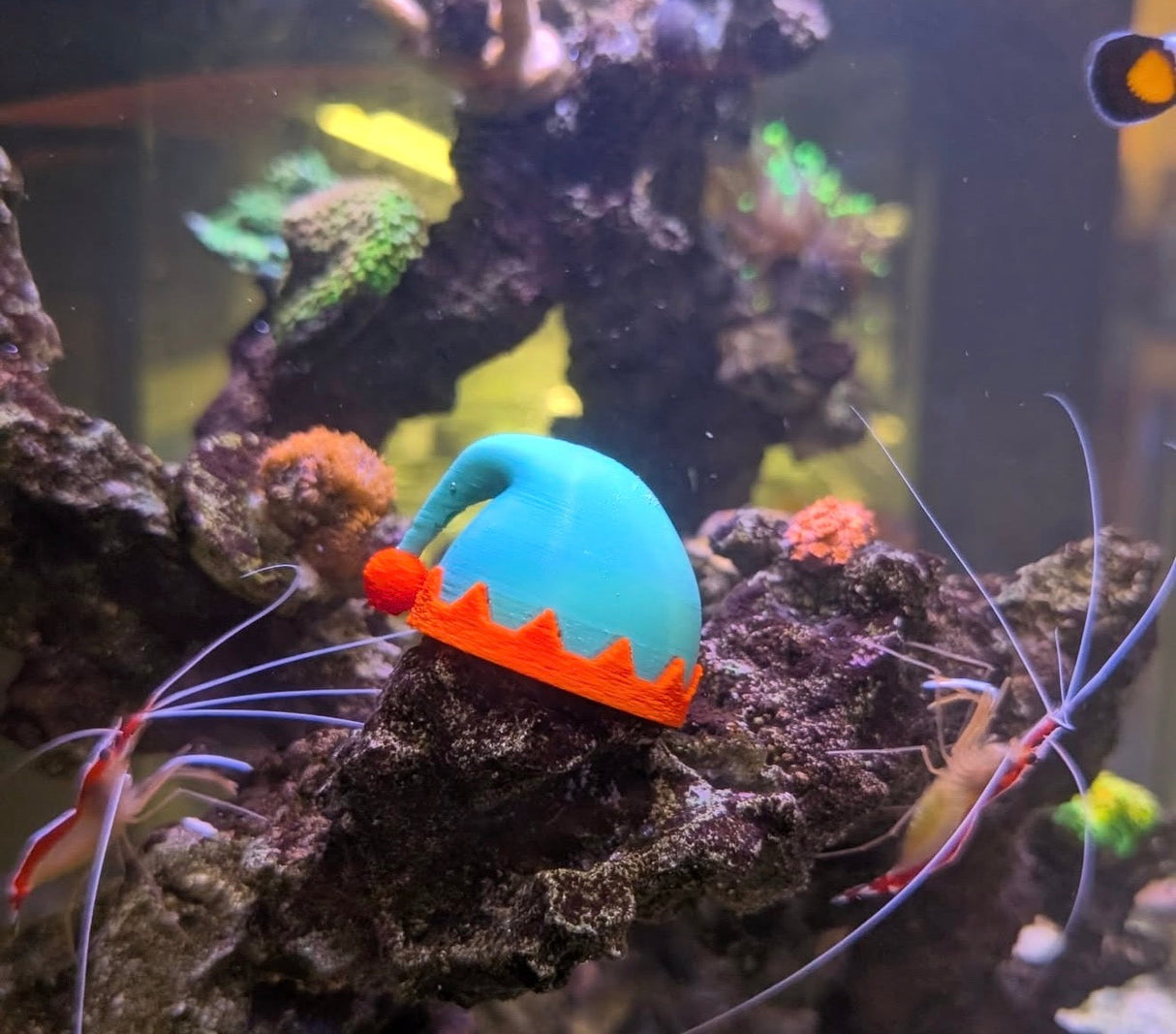 Printed Reef Christmas Sea Urchin Hats | Set of 3