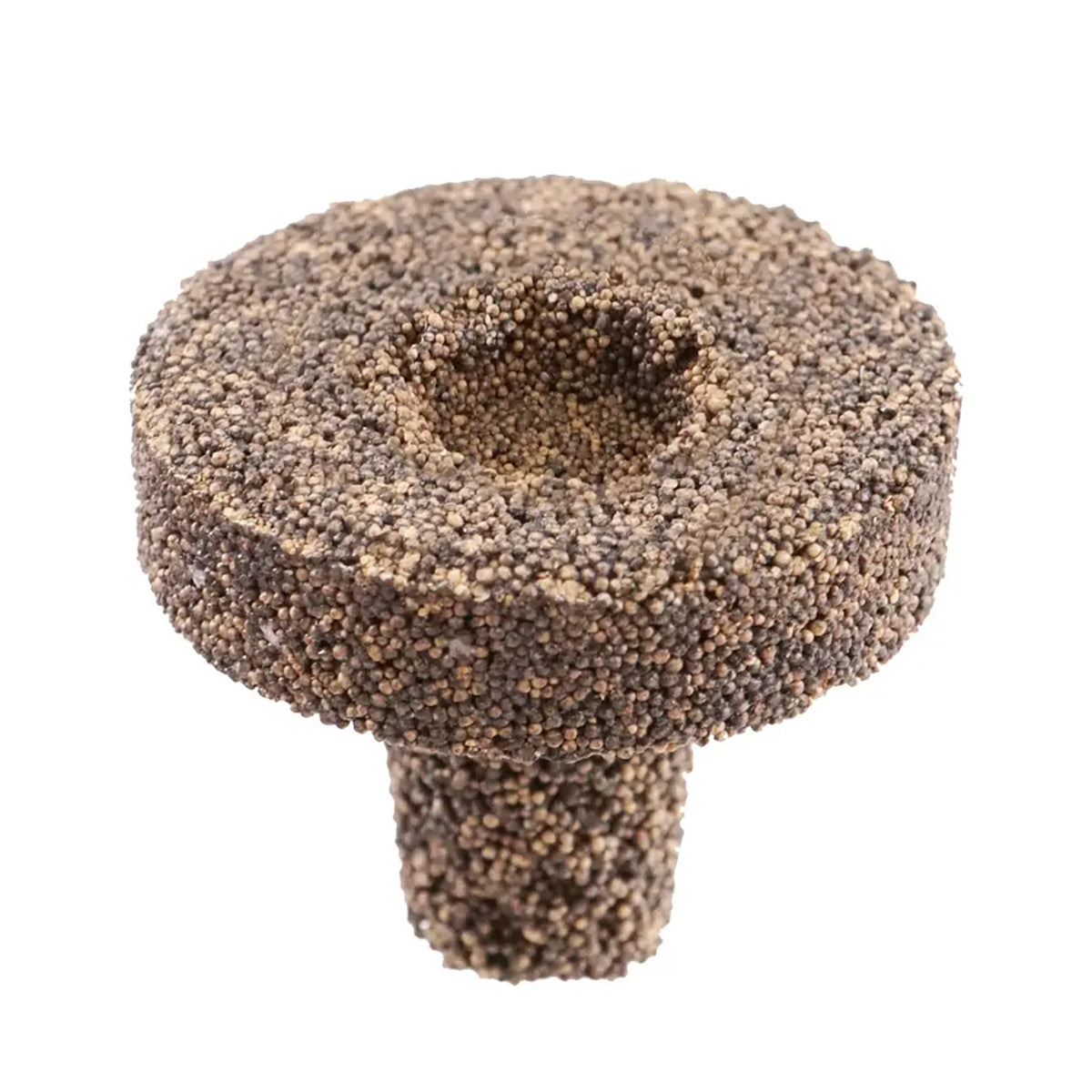 1" Biological Frag Plugs with Mounting Divot - 25 Pack