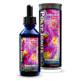 Polyp Ignite