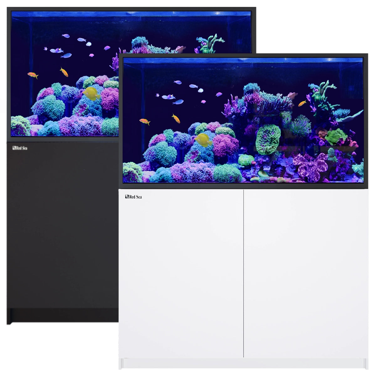 Reefer S-550 G2+ System (118 Gal)