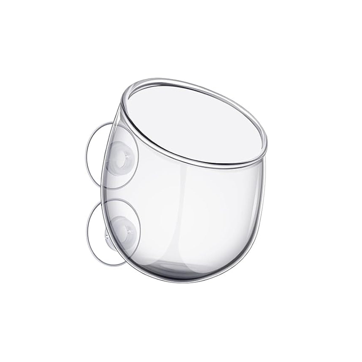 Glass Anemone Plant Cup
