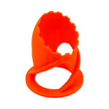 Scoly Stands for Scolymia Corals