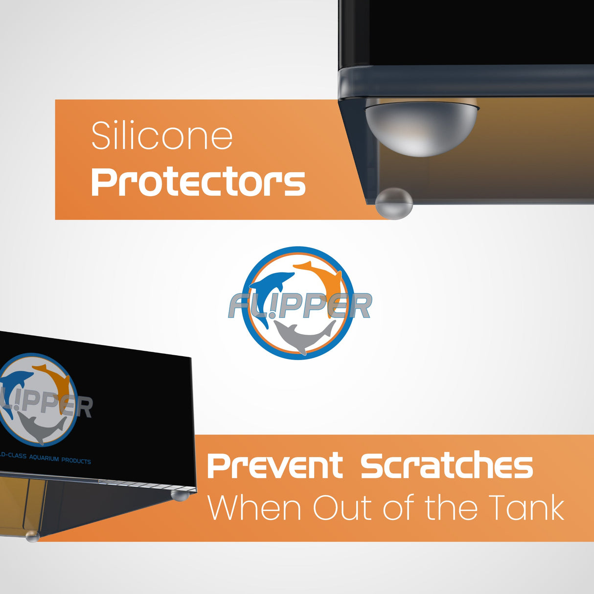 Top Down Viewer Clownfish - 8" panel