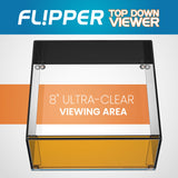 Top Down Viewer Clownfish - 8" panel