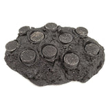 Hawaiian Black Ceramic Coral Frag Hub 10.0