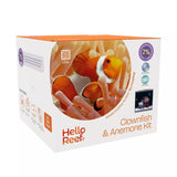 Clownfish & Anemone Aquarium Kit