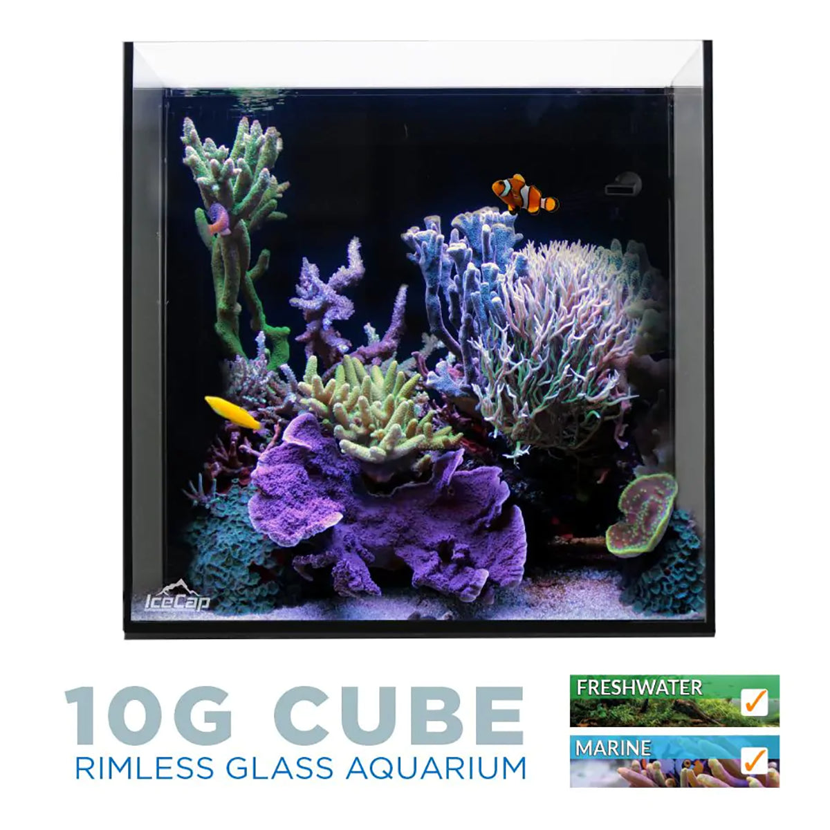 10 Gallon Cube AIO Rimless Glass Aquarium