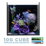 10 Gallon Cube AIO Rimless Glass Aquarium