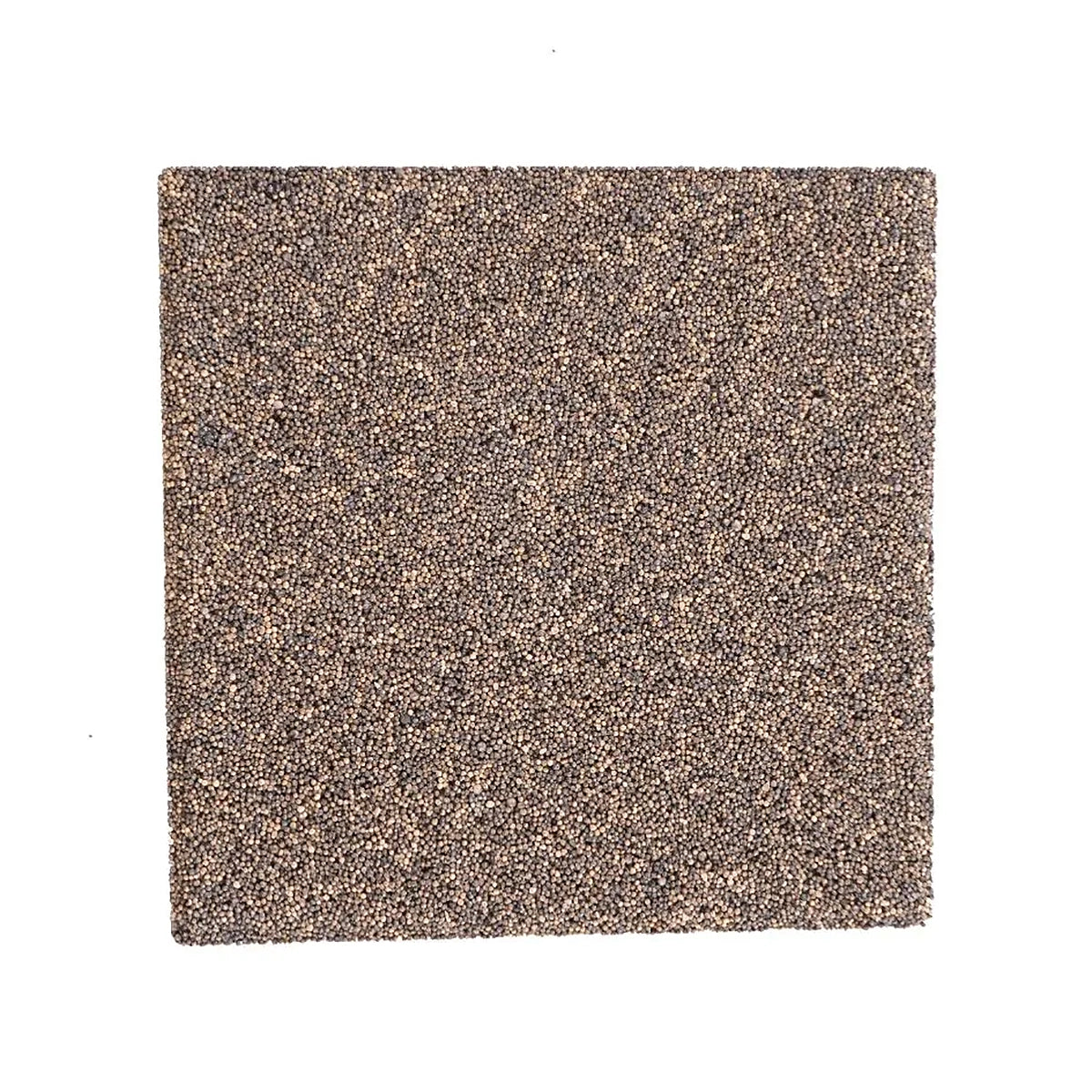 2" Biological Coral Frag Tile - 15 Pack