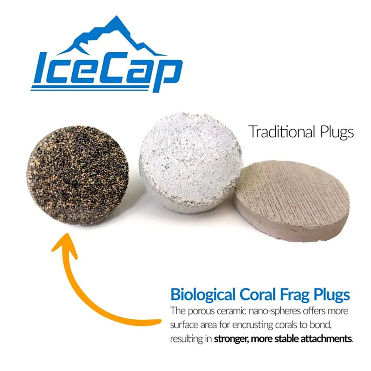 7/8" Biological Frag Plugs with Flat Top - 25 Pack