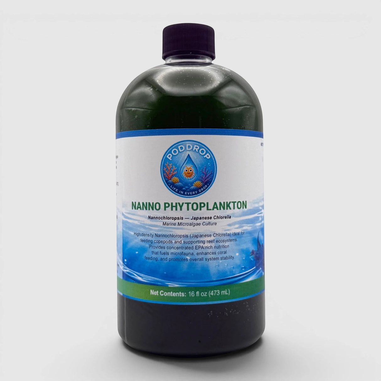 Nanochloropsis Japanese Chlorella Phytoplankton Culture