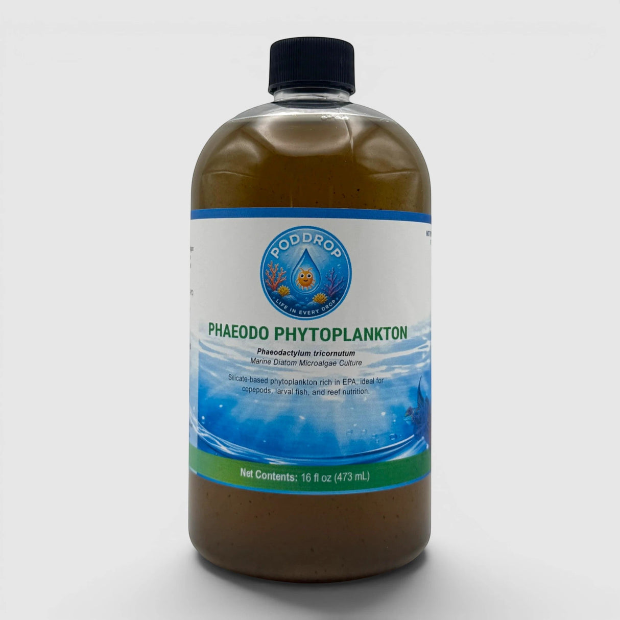 Phaeodactylum tricornutum Phytoplankton Culture