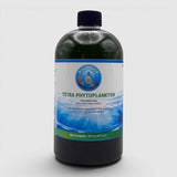 Tetraselmis chui Phytoplankton Culture