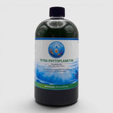 Tetraselmis chui Phytoplankton Culture