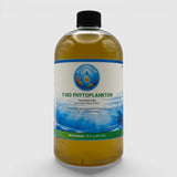 Tisochrysis lutea Phytoplankton Culture