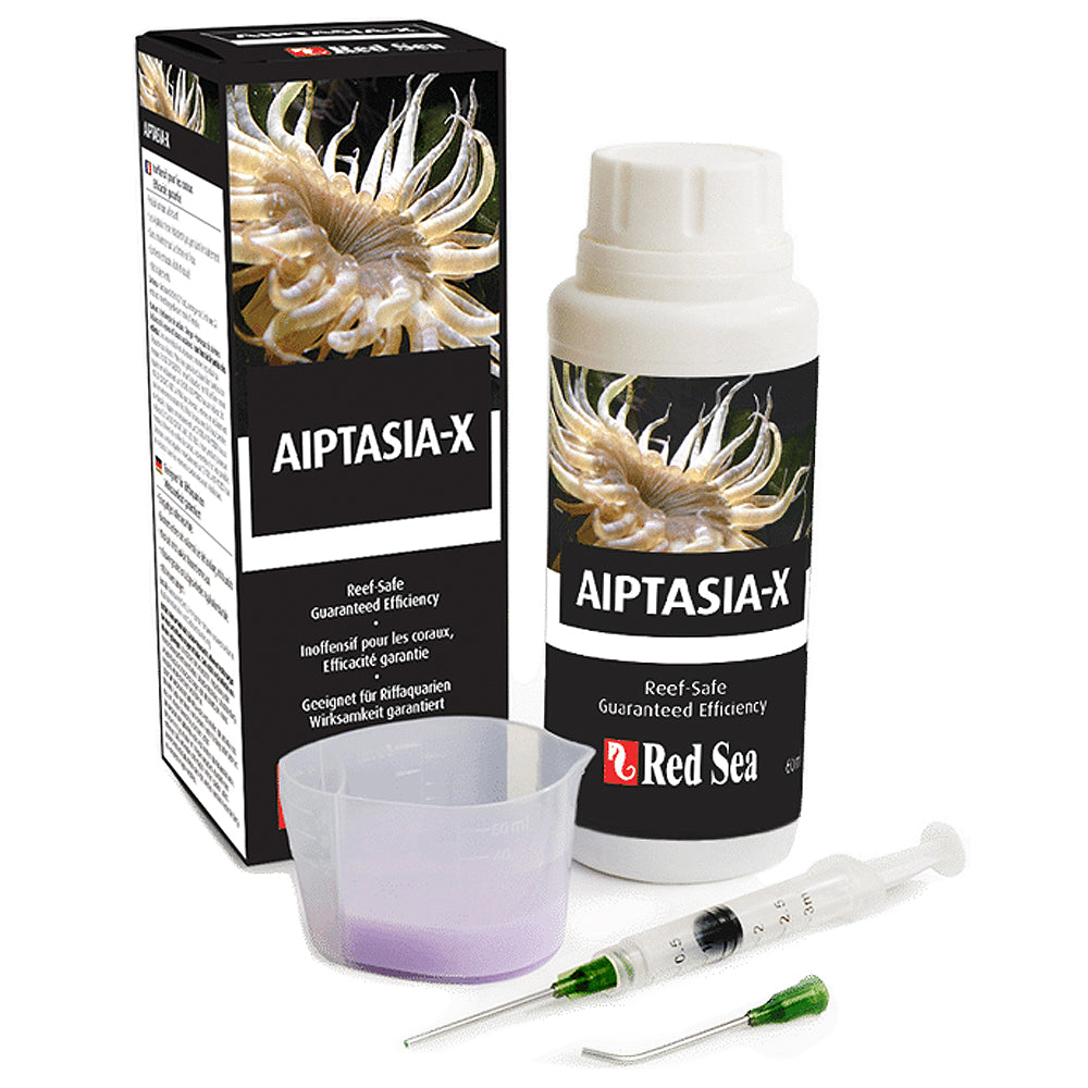Aiptasia-X