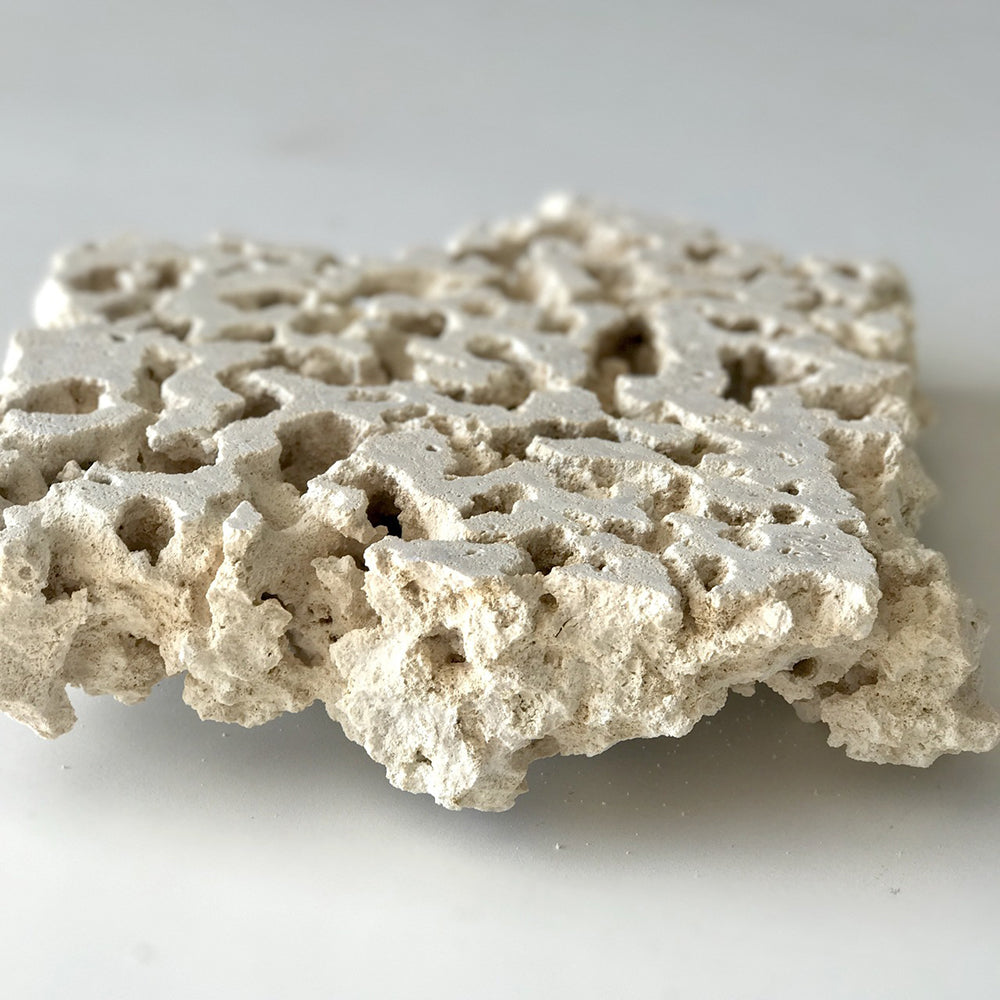 Foundation Reef Saver Dry Live Rock