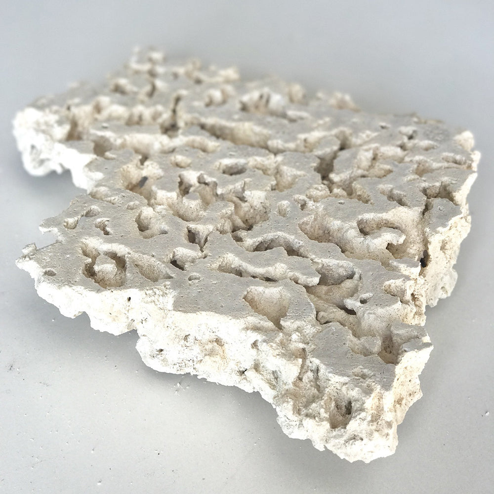 Foundation Reef Saver Dry Live Rock