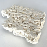 Foundation Reef Saver Dry Live Rock