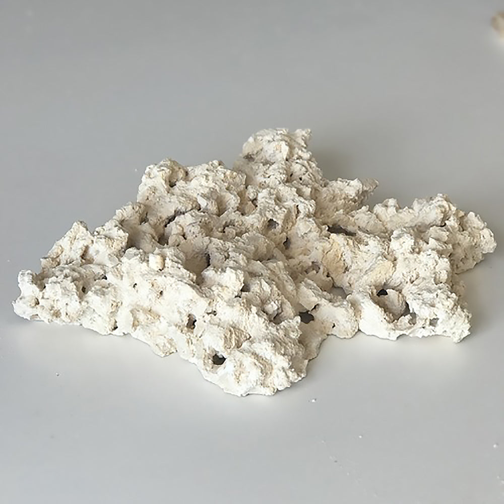 Foundation Reef Saver Dry Live Rock