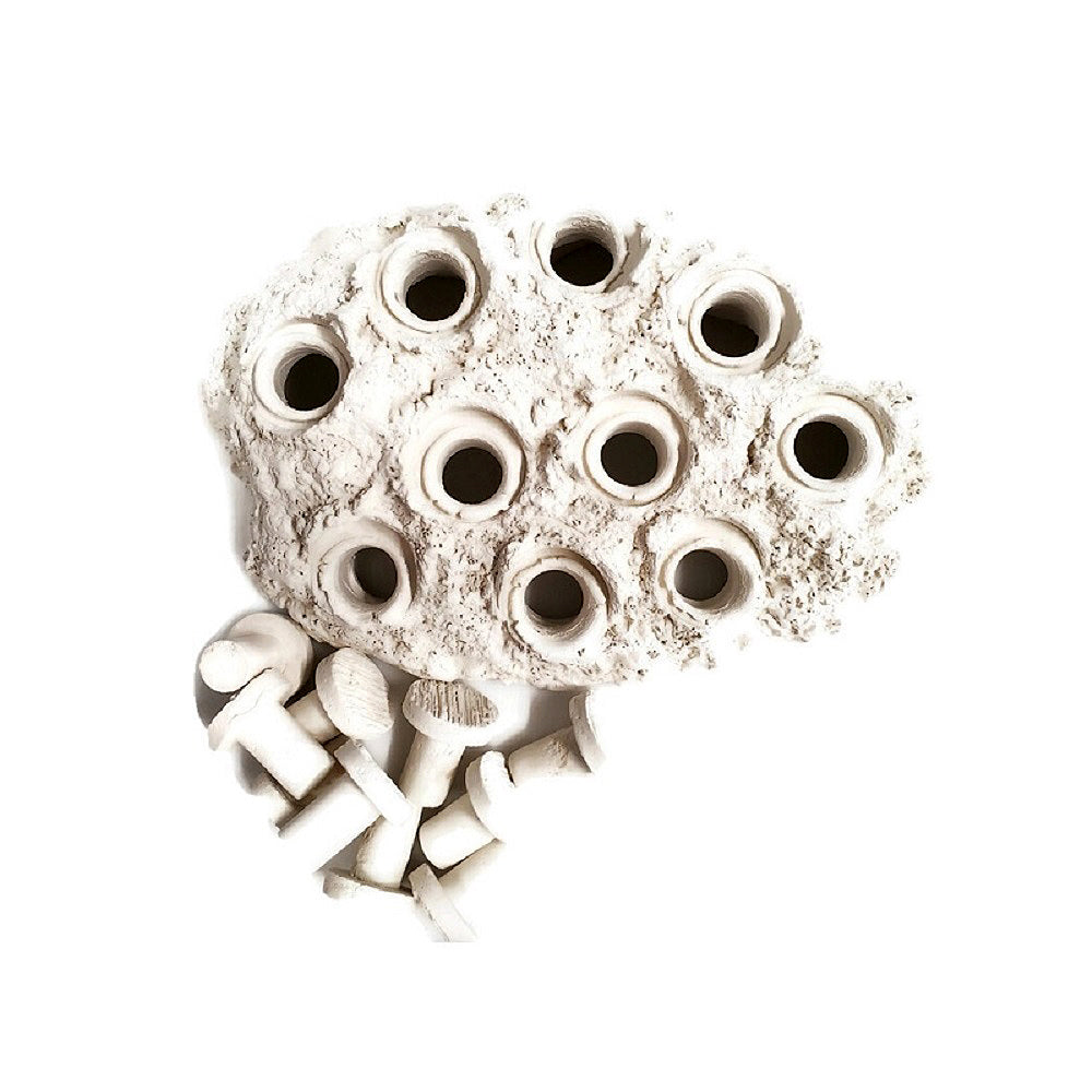 Natural White Ceramic Coral Frag Hub 10.0