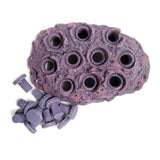Coralline Purple Ceramic Coral Frag Hub 10.0