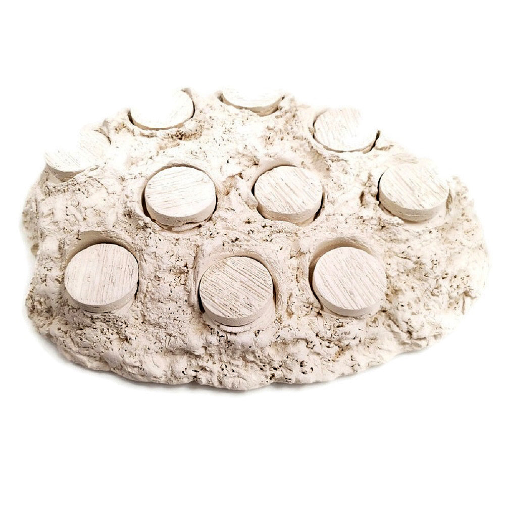 Natural White Ceramic Coral Frag Hub 10.0