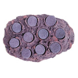 Coralline Purple Ceramic Coral Frag Hub 10.0
