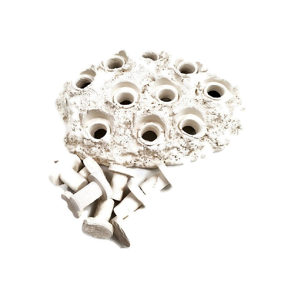 Natural White Ceramic Coral Frag Hub 10.0