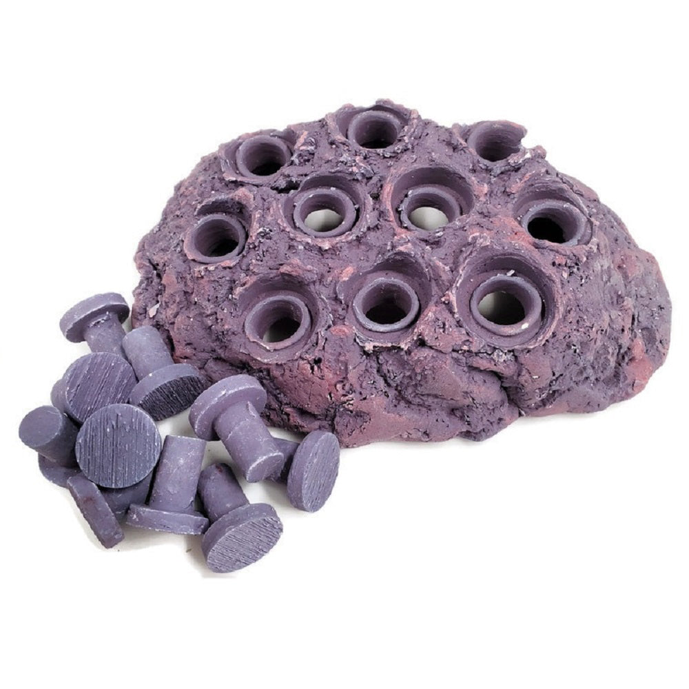 Coralline Purple Ceramic Coral Frag Hub 10.0