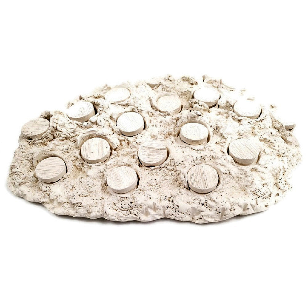 Natural White Ceramic Coral Frag Hub 20.0