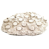 Natural White Ceramic Coral Frag Hub 20.0