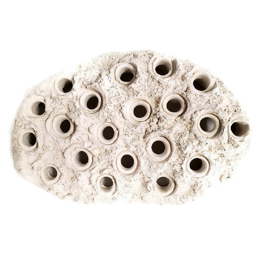 Natural White Ceramic Coral Frag Hub 20.0