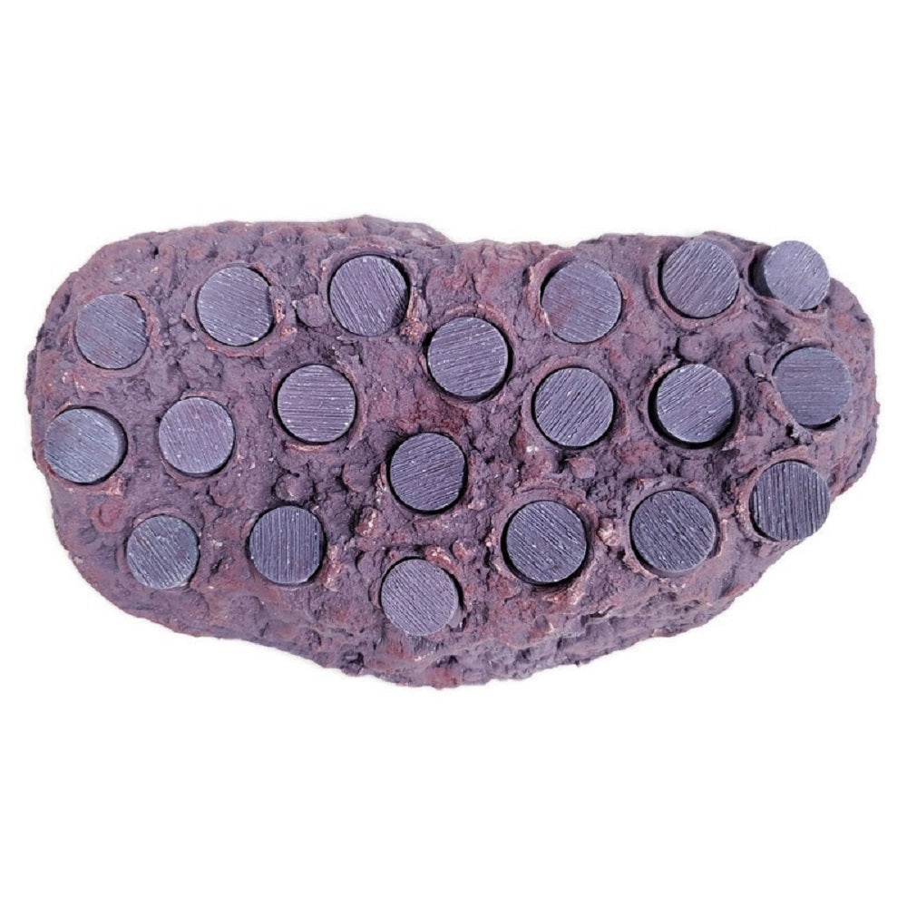 Coralline Purple Ceramic Coral Frag Hub 20.0