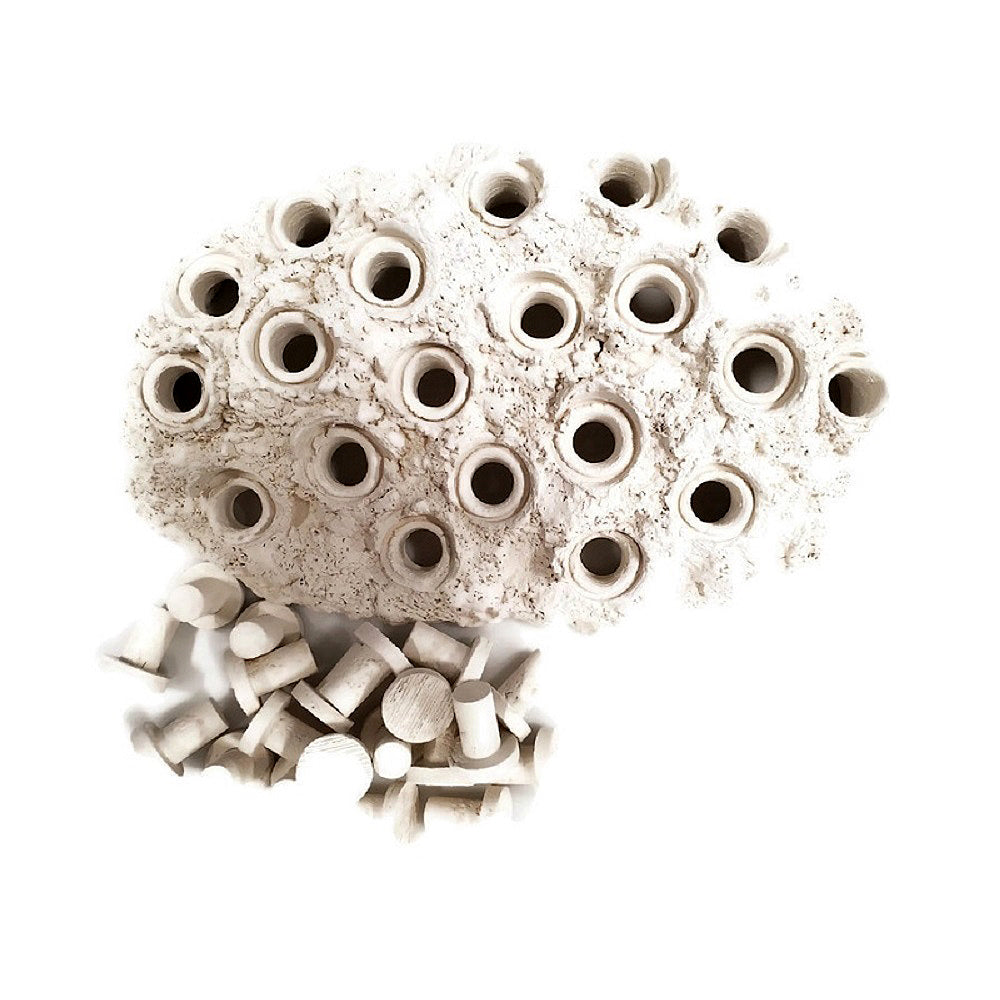 Natural White Ceramic Coral Frag Hub 20.0