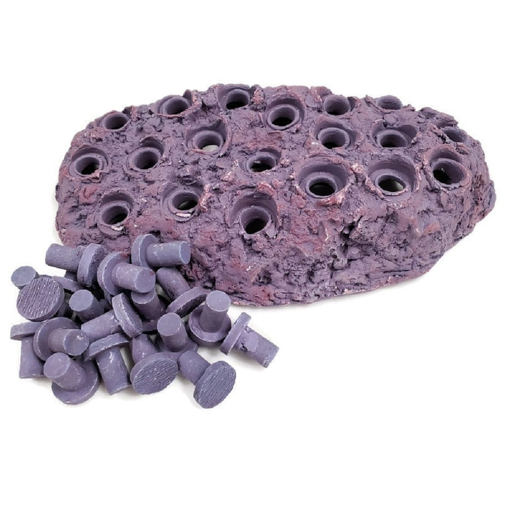 Coralline Purple Ceramic Coral Frag Hub 20.0
