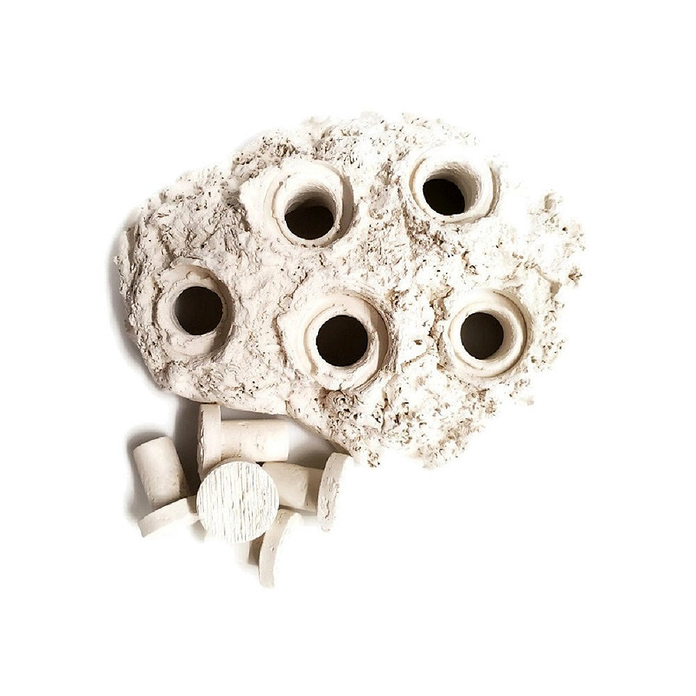 Natural White Ceramic Coral Frag Hub 5.0
