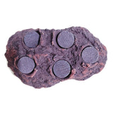Coralline Purple Ceramic Coral Frag Hub 5.0