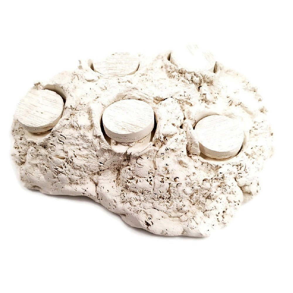 Natural White Ceramic Coral Frag Hub 5.0