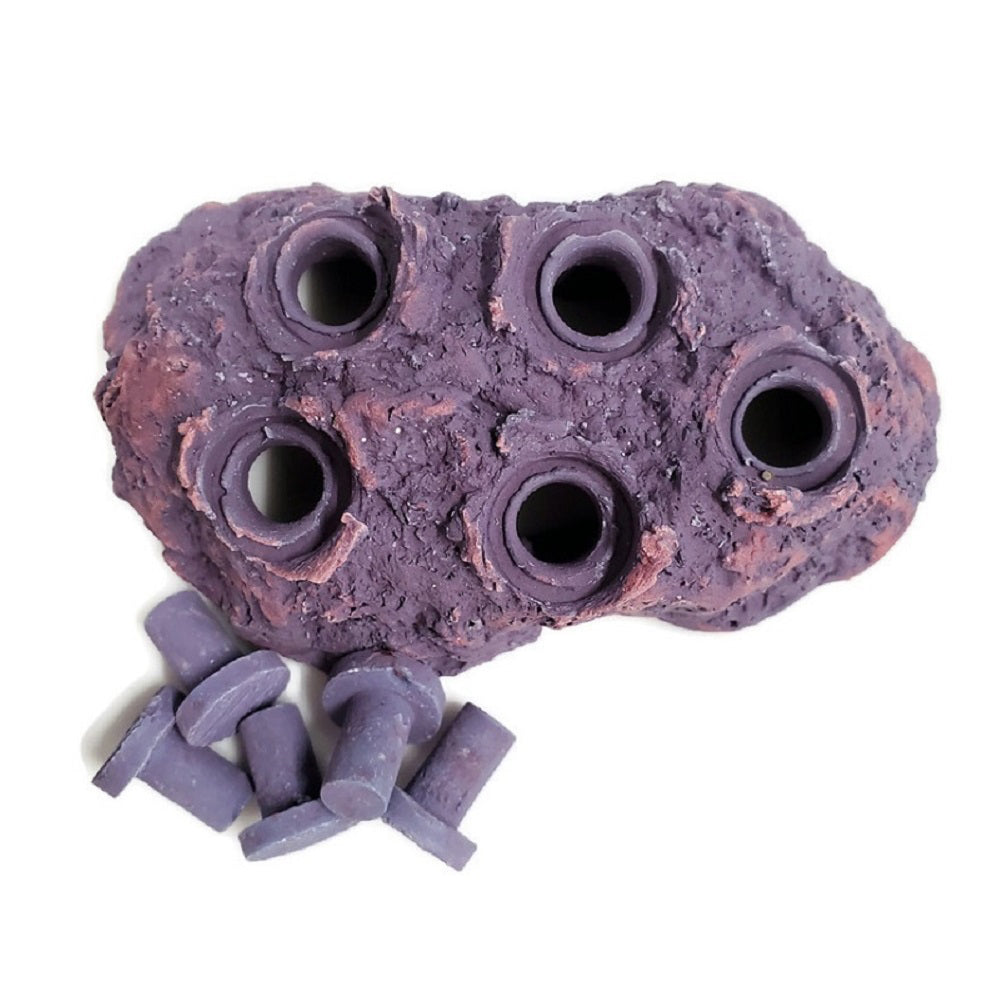 Coralline Purple Ceramic Coral Frag Hub 5.0