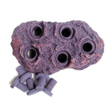 Coralline Purple Ceramic Coral Frag Hub 5.0